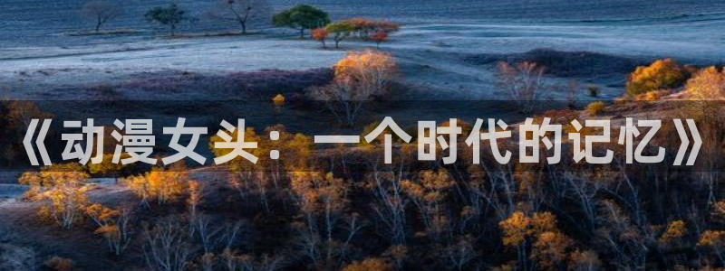 51动漫破解版nba安卓下载