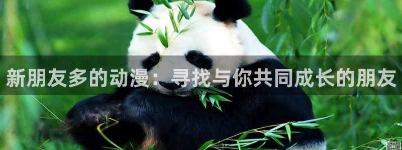 51动漫正版：新朋友多的动漫：寻找与你共同成长的朋友