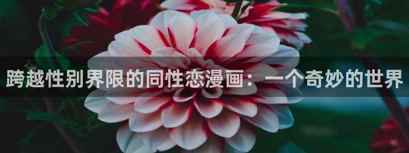 51动漫免费入口：跨越性别界限的同性恋漫画：一个奇妙的世界